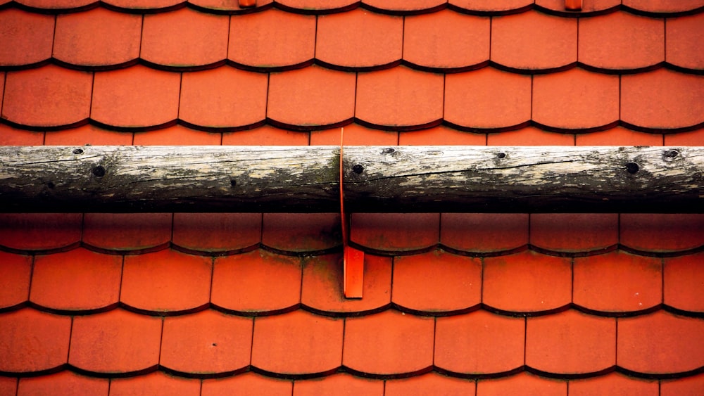 macro photography of orange shingles